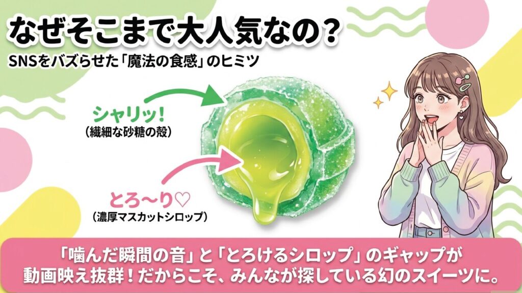 人気の秘密は？